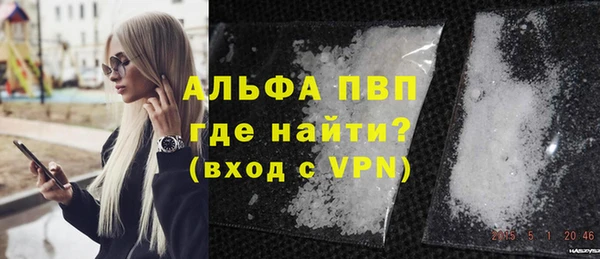 индика Дегтярск