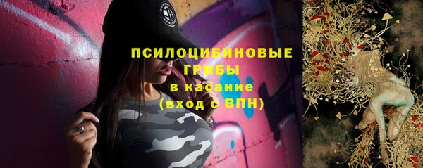 дживик Баксан