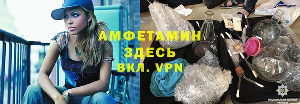 индика Дегтярск