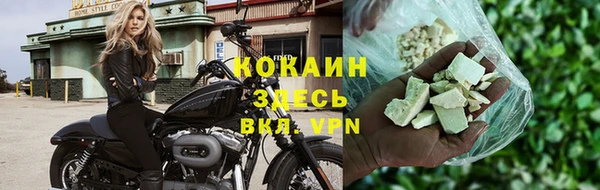 дживик Баксан