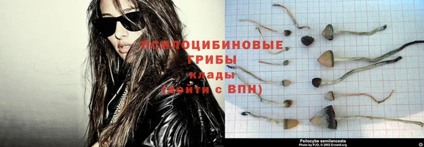 дживик Баксан