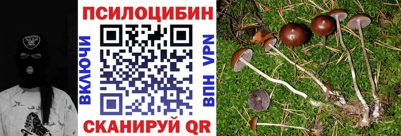 Псилоцибиновые грибы Magic Shrooms  закладки  Невель 